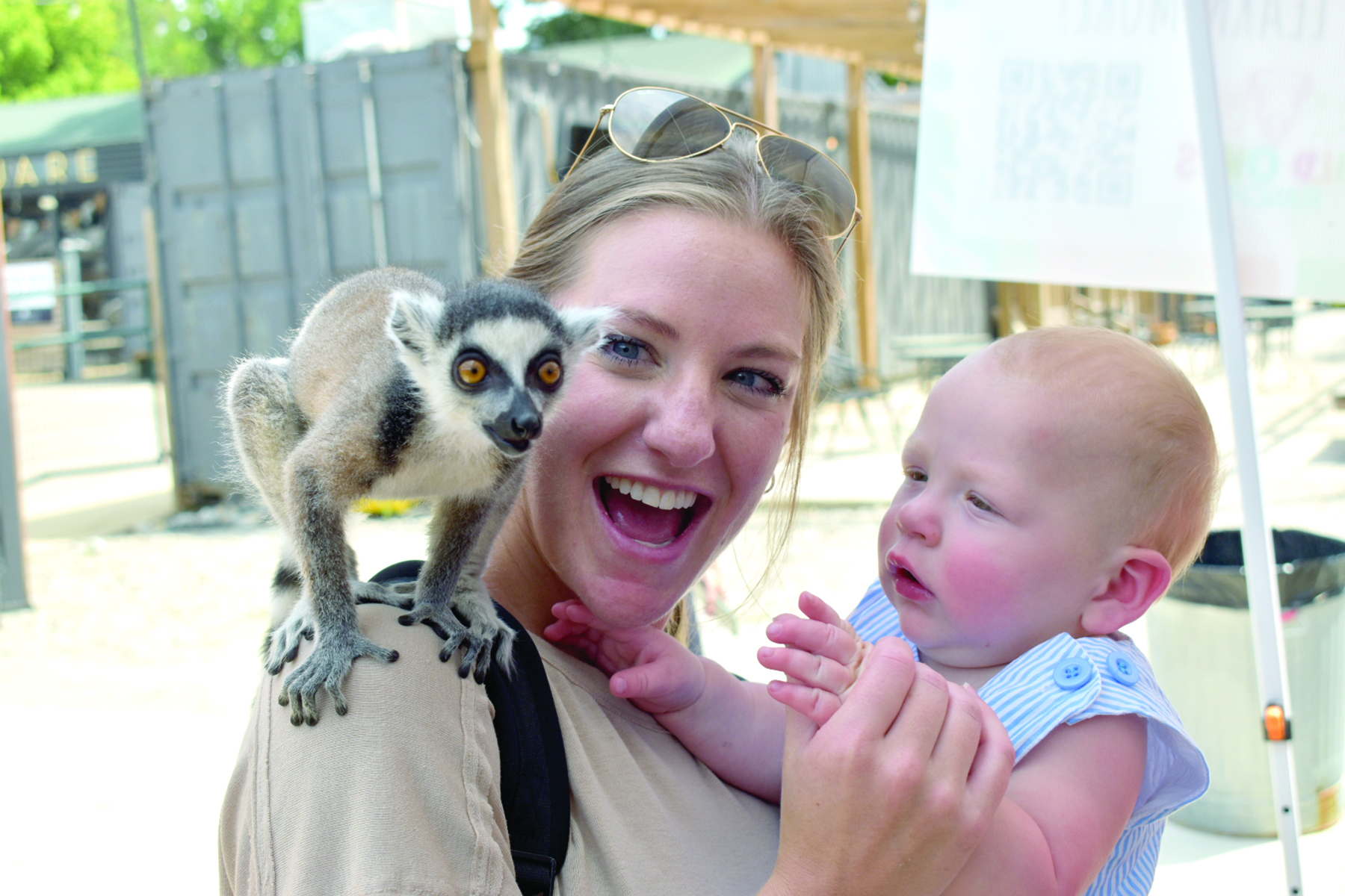 Lollies & Lemurs at Huntington Square